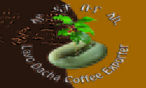 Der weltbeste Kaffee kommt zweifelsohne aus Äthiopien