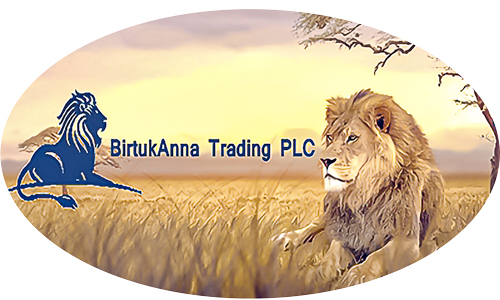 Your number one partner in Africa: The BirtukAnna Traiding PLC